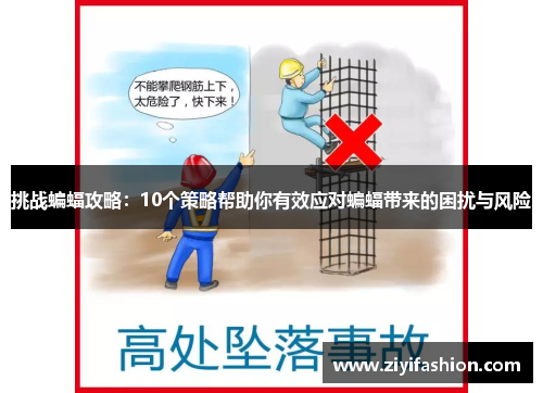 挑战蝙蝠攻略：10个策略帮助你有效应对蝙蝠带来的困扰与风险