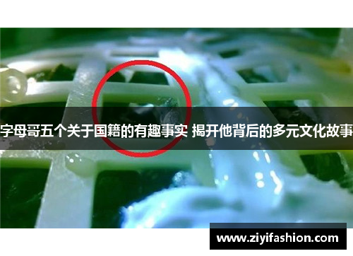 字母哥五个关于国籍的有趣事实 揭开他背后的多元文化故事 字母哥五个关于国籍的有趣事实 揭开他背后的多元文化故事