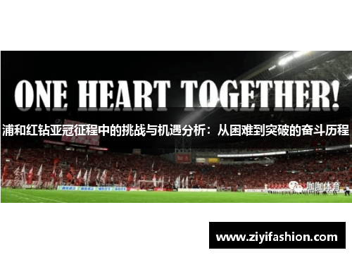 浦和红钻亚冠征程中的挑战与机遇分析：从困难到突破的奋斗历程