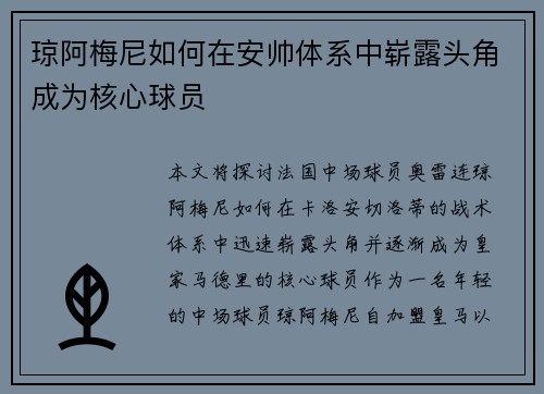 琼阿梅尼如何在安帅体系中崭露头角成为核心球员